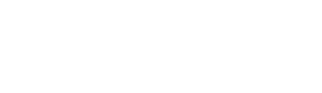 Wildwood Wands